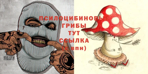 2c-b Арсеньев