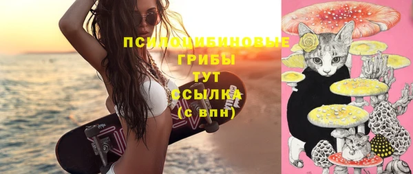 мяу мяу мука Михайловка